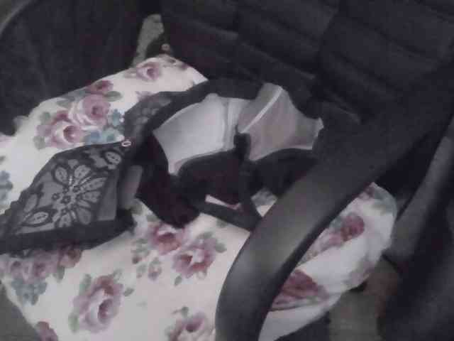 Ornotores_wers webcam