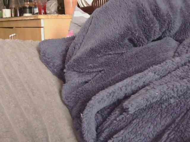 Ornotores_wers webcam