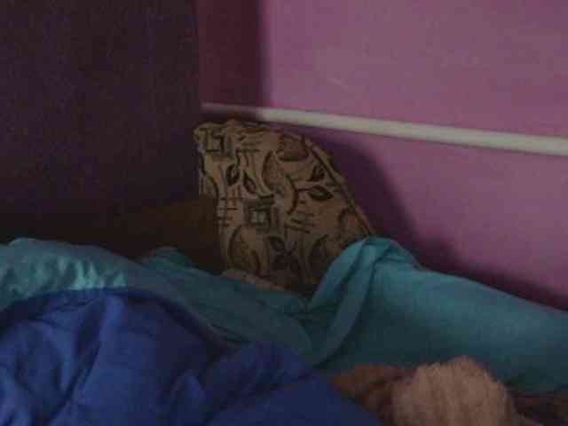 Ornotores_wers webcam