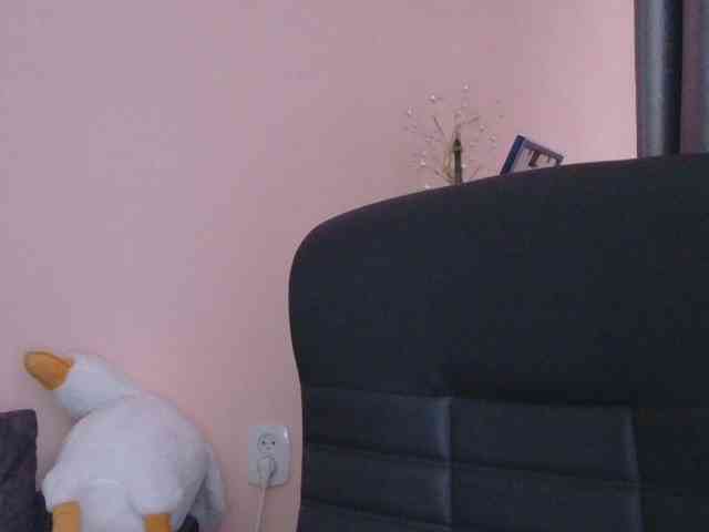 Ornotores_wers webcam