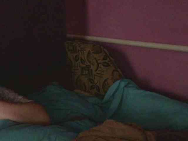 Ornotores_wers webcam