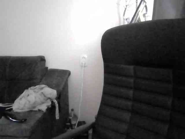 Ornotores_wers webcam