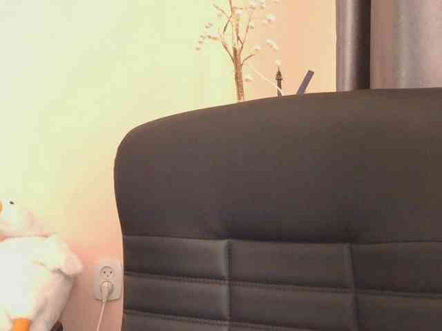 Ornotores_wers webcam