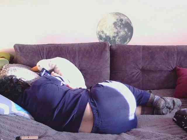 Ornotores_wers webcam