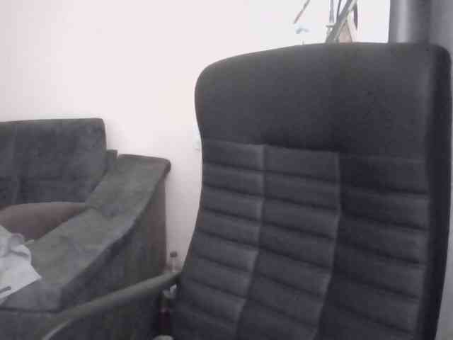 Ornotores_wers webcam