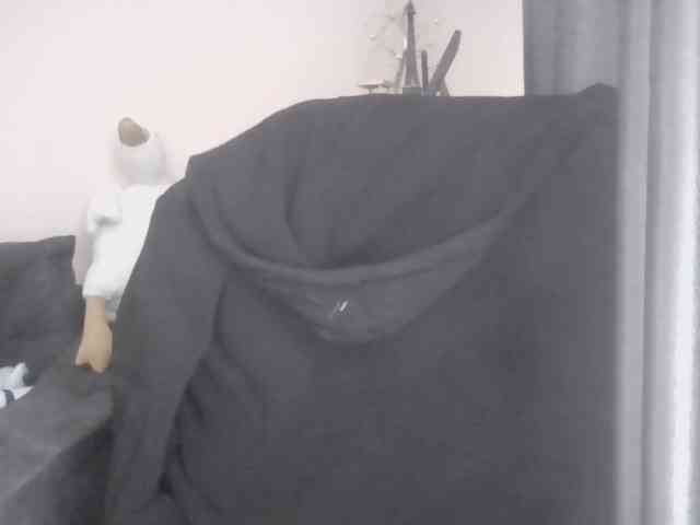 Ornotores_wers webcam