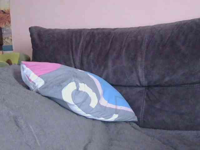 Ornotores_wers webcam