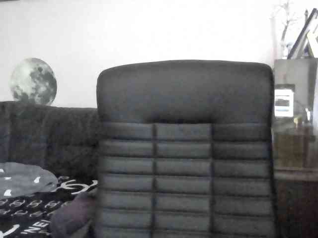 Ornotores_wers webcam