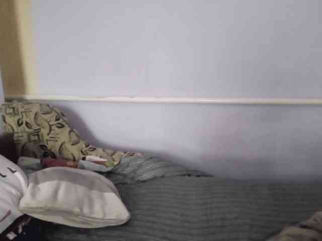 Ornotores_wers webcam