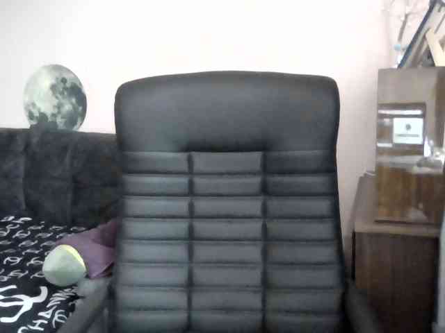 Ornotores_wers webcam