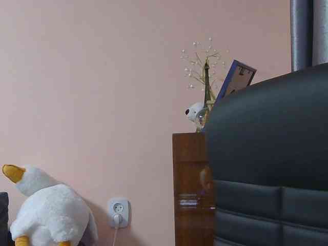 Ornotores_wers webcam