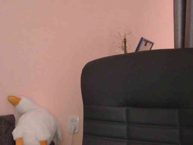 Ornotores_wers webcam