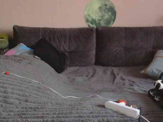 Ornotores_wers webcam