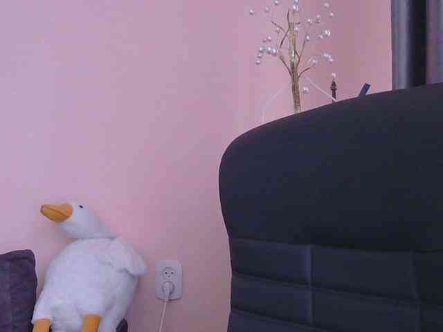 Ornotores_wers webcam