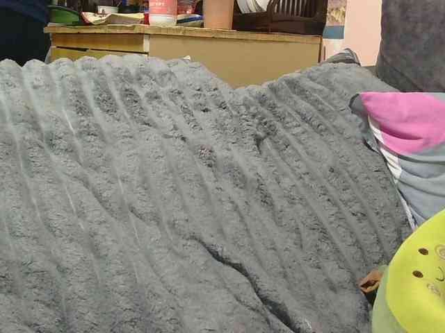 Ornotores_wers webcam