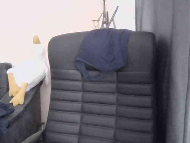 Ornotores_wers webcam