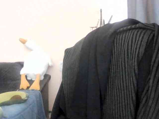 Ornotores_wers webcam