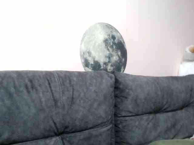 Ornotores_wers webcam