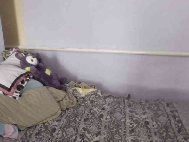 Ornotores_wers webcam