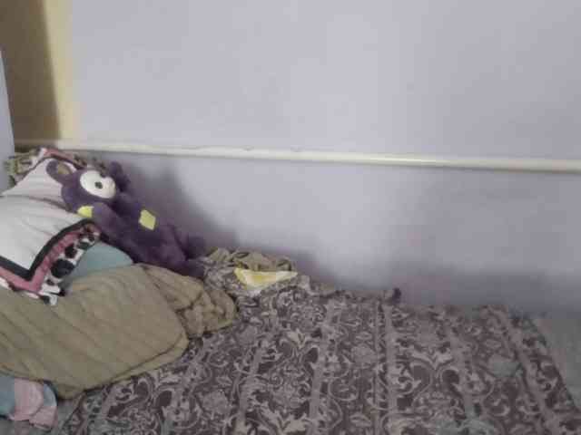 Ornotores_wers webcam