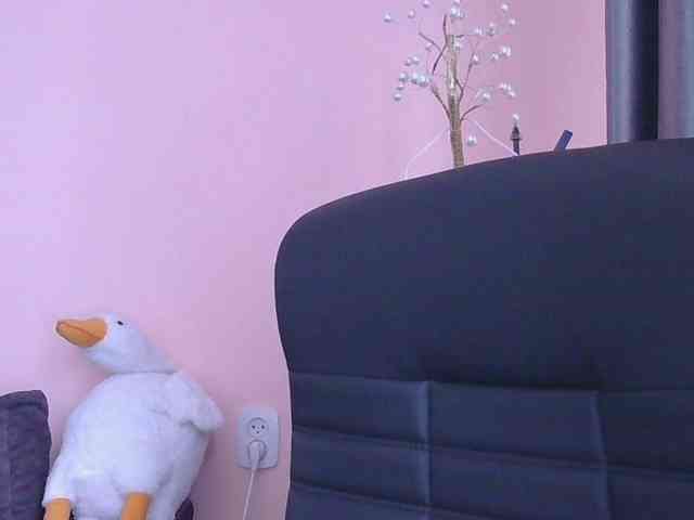 Ornotores_wers webcam