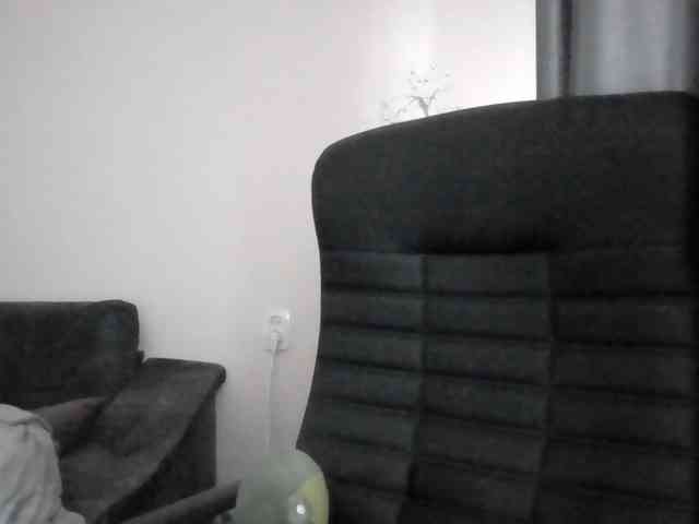 Ornotores_wers webcam