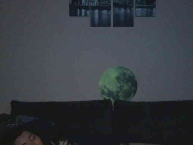 Ornotores_wers webcam