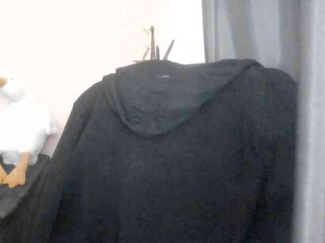 Ornotores_wers webcam