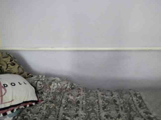 Ornotores_wers webcam