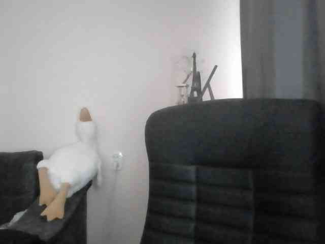 Ornotores_wers webcam