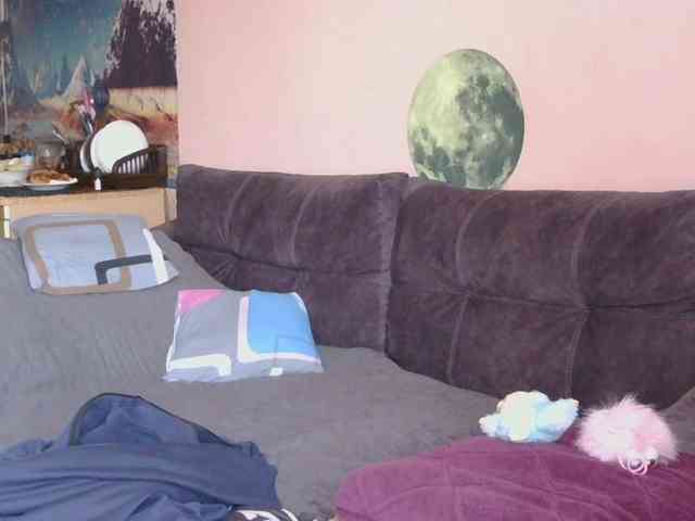 Ornotores_wers webcam