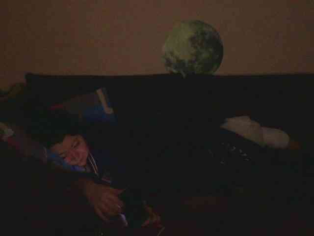 Ornotores_wers webcam