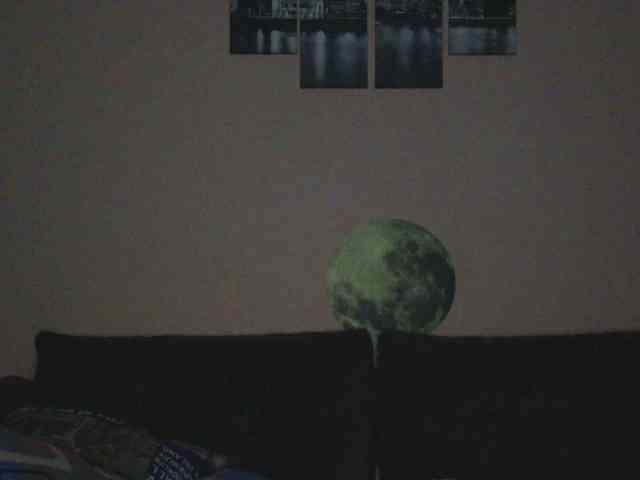 Ornotores_wers webcam