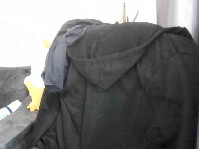 Ornotores_wers webcam