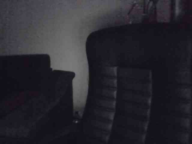 Ornotores_wers webcam