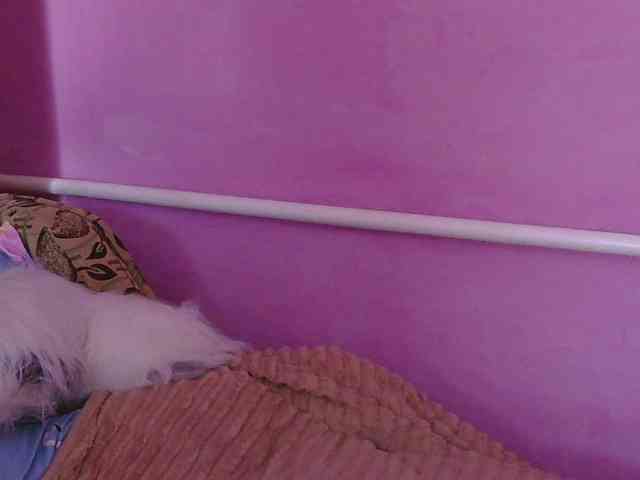 Ornotores_wers webcam