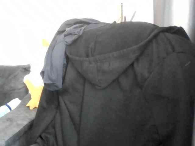 Ornotores_wers webcam