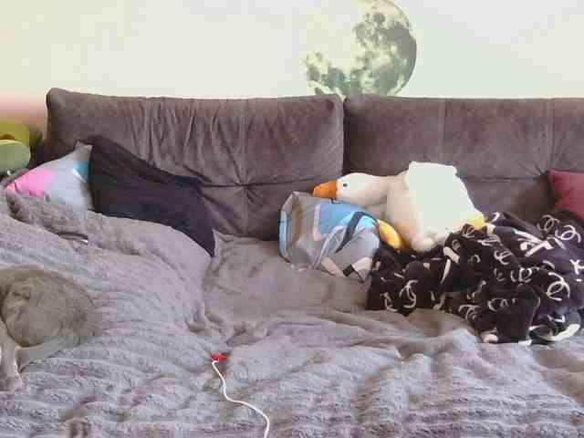 Ornotores_wers webcam