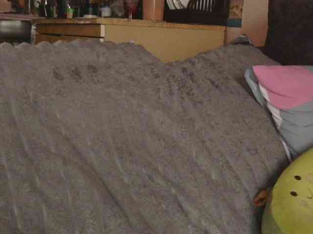 Ornotores_wers webcam