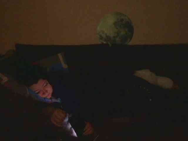 Ornotores_wers webcam