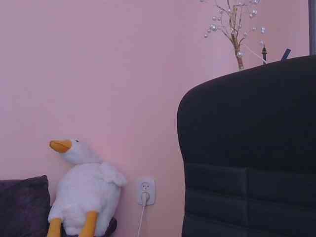 Ornotores_wers webcam