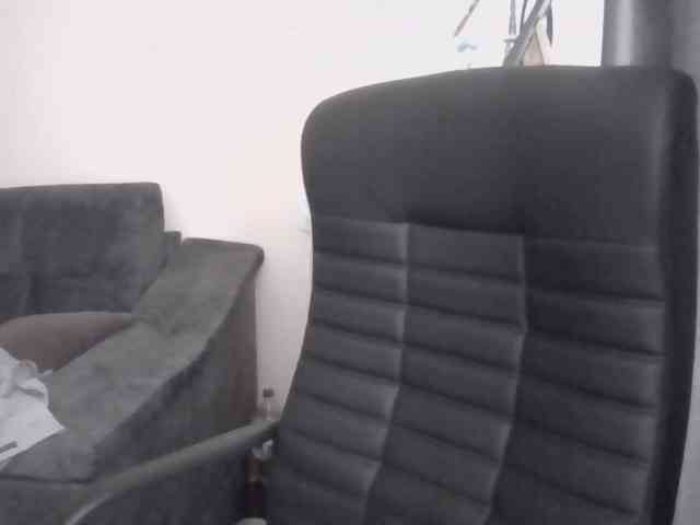 Ornotores_wers webcam
