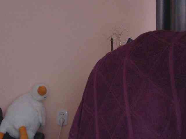 Ornotores_wers webcam