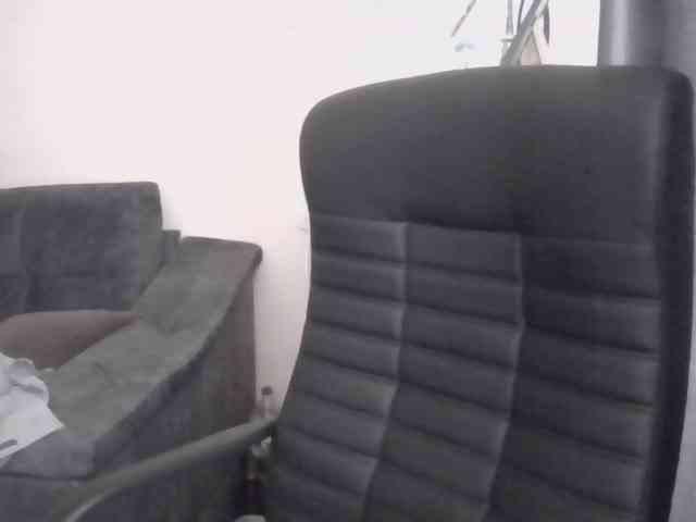 Ornotores_wers webcam