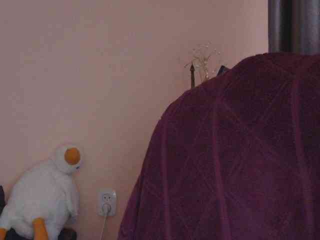 Ornotores_wers webcam