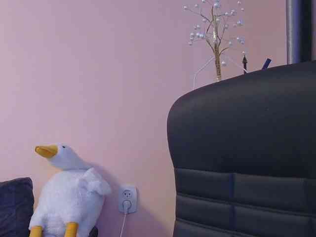 Ornotores_wers webcam