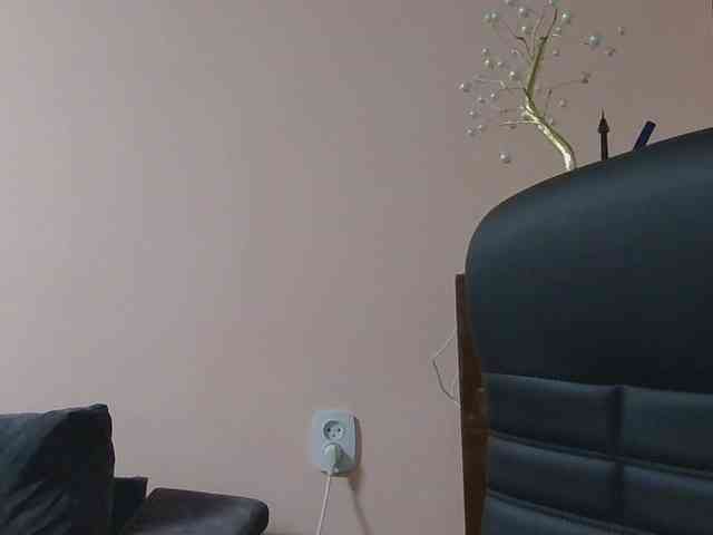 Ornotores_wers webcam