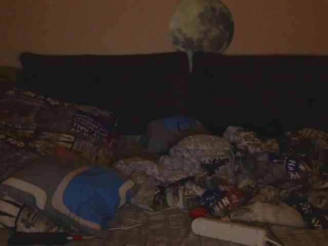 Ornotores_wers webcam