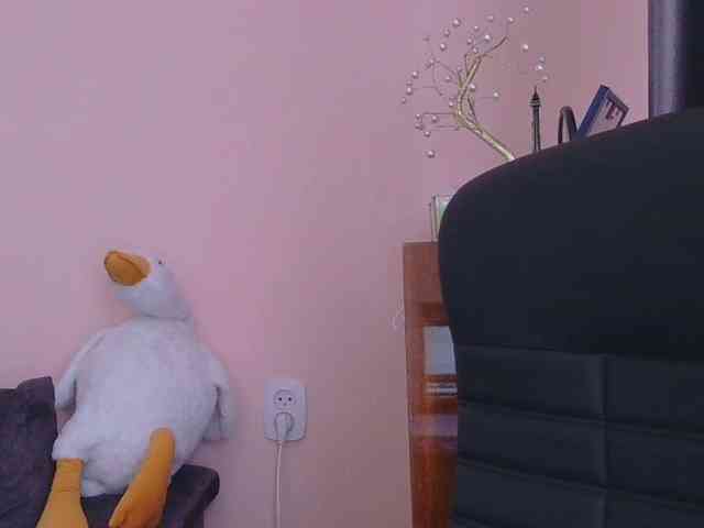 Ornotores_wers webcam