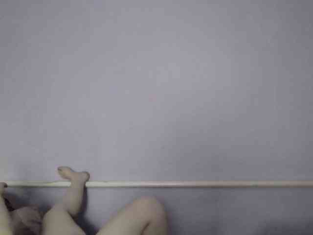 Ornotores_wers webcam